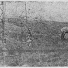 Подъём гирлянды изоляторов с проводом с помощью лошади. Начало 1930-х годов.